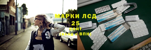 соль ск Зеленодольск